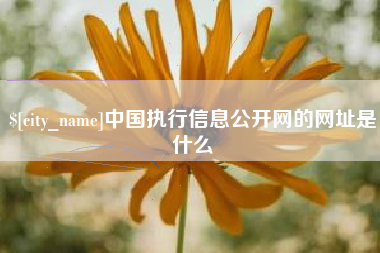 宜昌中国执行信息公开网的网址是什么