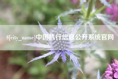 宜昌中国执行信息公开系统官网