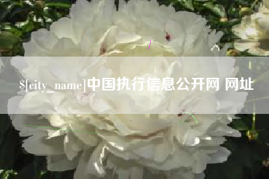 宜昌中国执行信息公开网 网址