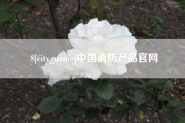 宜昌中国消防产品官网