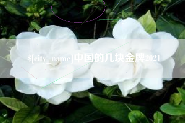 宜昌中国的几块金牌2021