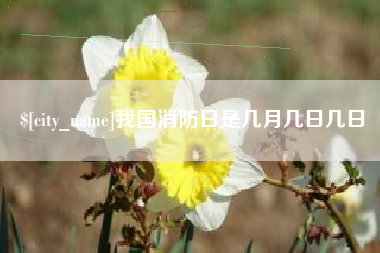 宜昌我国消防日是几月几日几日