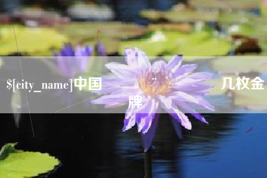 宜昌中国🇨🇳几枚金牌