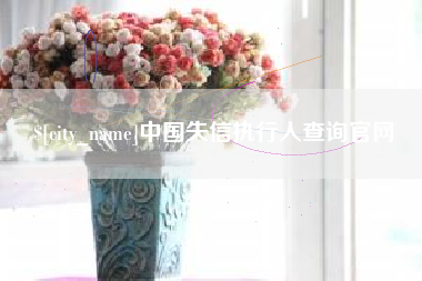 宜昌中国失信执行人查询官网