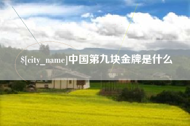 宜昌中国第九块金牌是什么