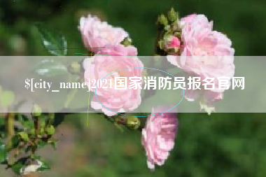 宜昌2021国家消防员报名官网
