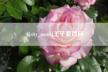 宜昌王子豪百科