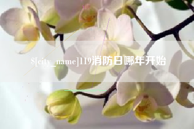 宜昌119消防日哪年开始