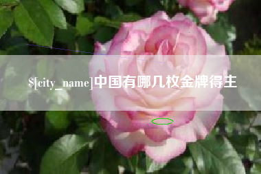 宜昌中国有哪几枚金牌得主