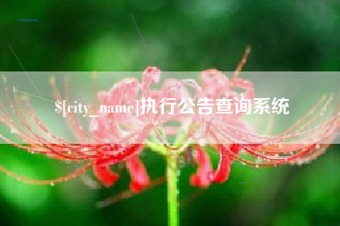宜昌执行公告查询系统