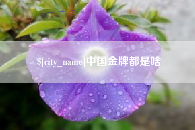 宜昌中国金牌都是啥
