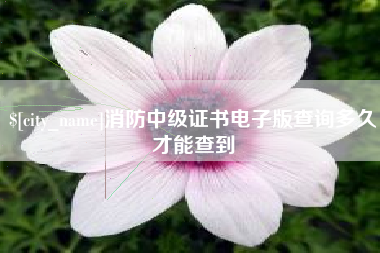 宜昌消防中级证书电子版查询多久才能查到