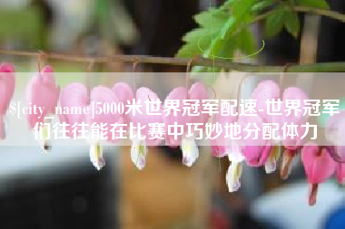 宜昌5000米世界冠军配速-世界冠军们往往能在比赛中巧妙地分配体力