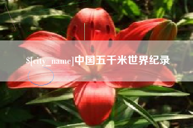 宜昌中国五千米世界纪录