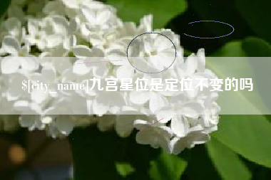 宜昌九宫星位是定位不变的吗
