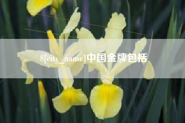 宜昌中国金牌包括