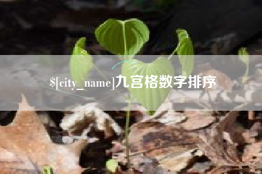 宜昌九宫格数字排序