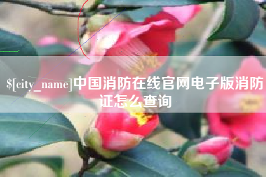 宜昌中国消防在线官网电子版消防证怎么查询