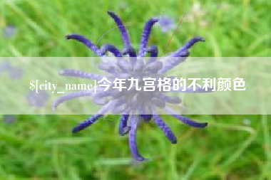宜昌今年九宫格的不利颜色