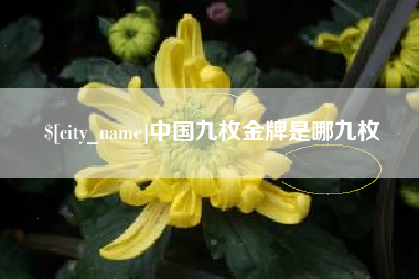 宜昌中国九枚金牌是哪九枚