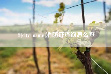 宜昌消防证查询怎么查