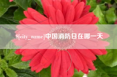 宜昌中国消防日在哪一天