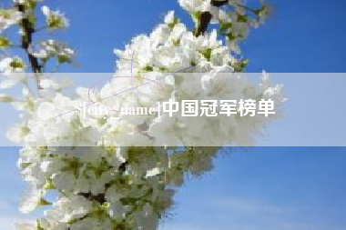 宜昌中国冠军榜单