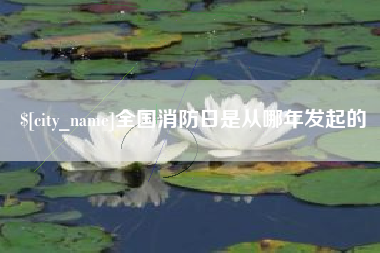 宜昌全国消防日是从哪年发起的