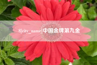 宜昌中国金牌第九金