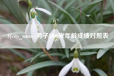 宜昌男子5000米年龄成绩对照表