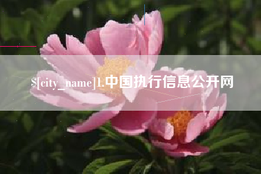 宜昌1.中国执行信息公开网
