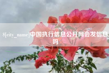 宜昌中国执行信息公开网会发信息吗