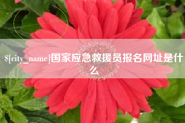 宜昌国家应急救援员报名网址是什么