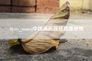 宜昌中国消防现场直播视频