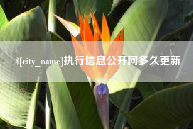 宜昌执行信息公开网多久更新