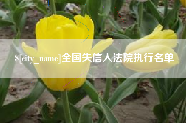 宜昌全国失信人法院执行名单