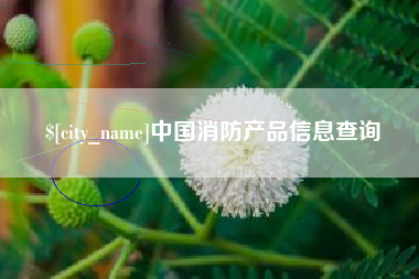 宜昌中国消防产品信息查询