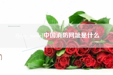 宜昌中国消防网址是什么