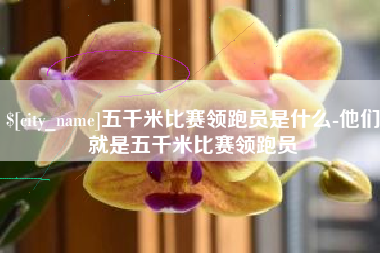 宜昌五千米比赛领跑员是什么-他们就是五千米比赛领跑员