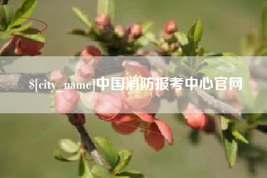 宜昌中国消防报考中心官网