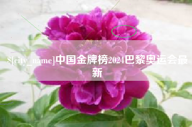 宜昌中国金牌榜2024巴黎奥运会最新