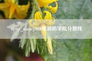 宜昌2020年消防学院分数线