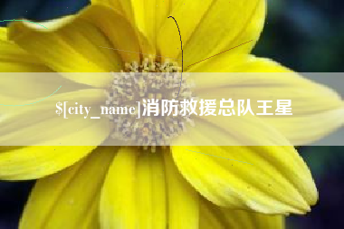 宜昌消防救援总队王星