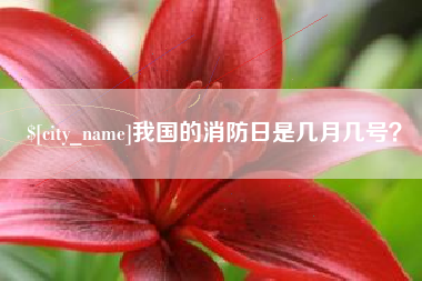 宜昌我国的消防日是几月几号？