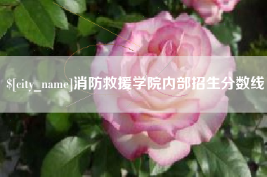 宜昌消防救援学院内部招生分数线