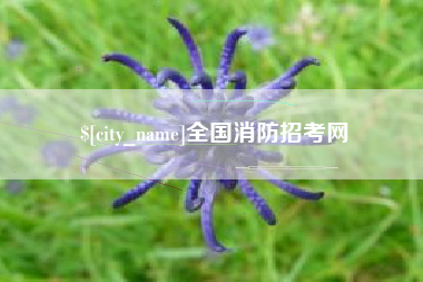 宜昌全国消防招考网
