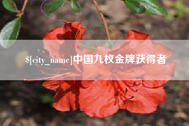宜昌中国九枚金牌获得者