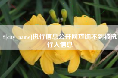 宜昌执行信息公开网查询不到被执行人信息