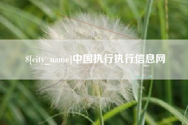 宜昌中国执行执行信息网