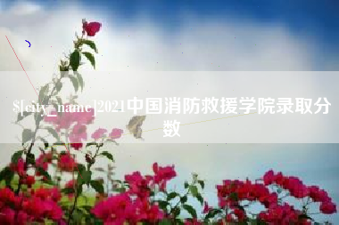 宜昌2021中国消防救援学院录取分数